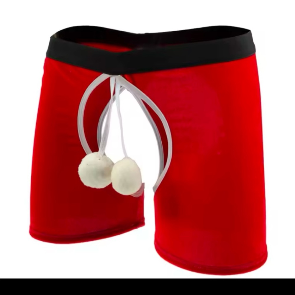 New sexy men’s Christmas underwear.